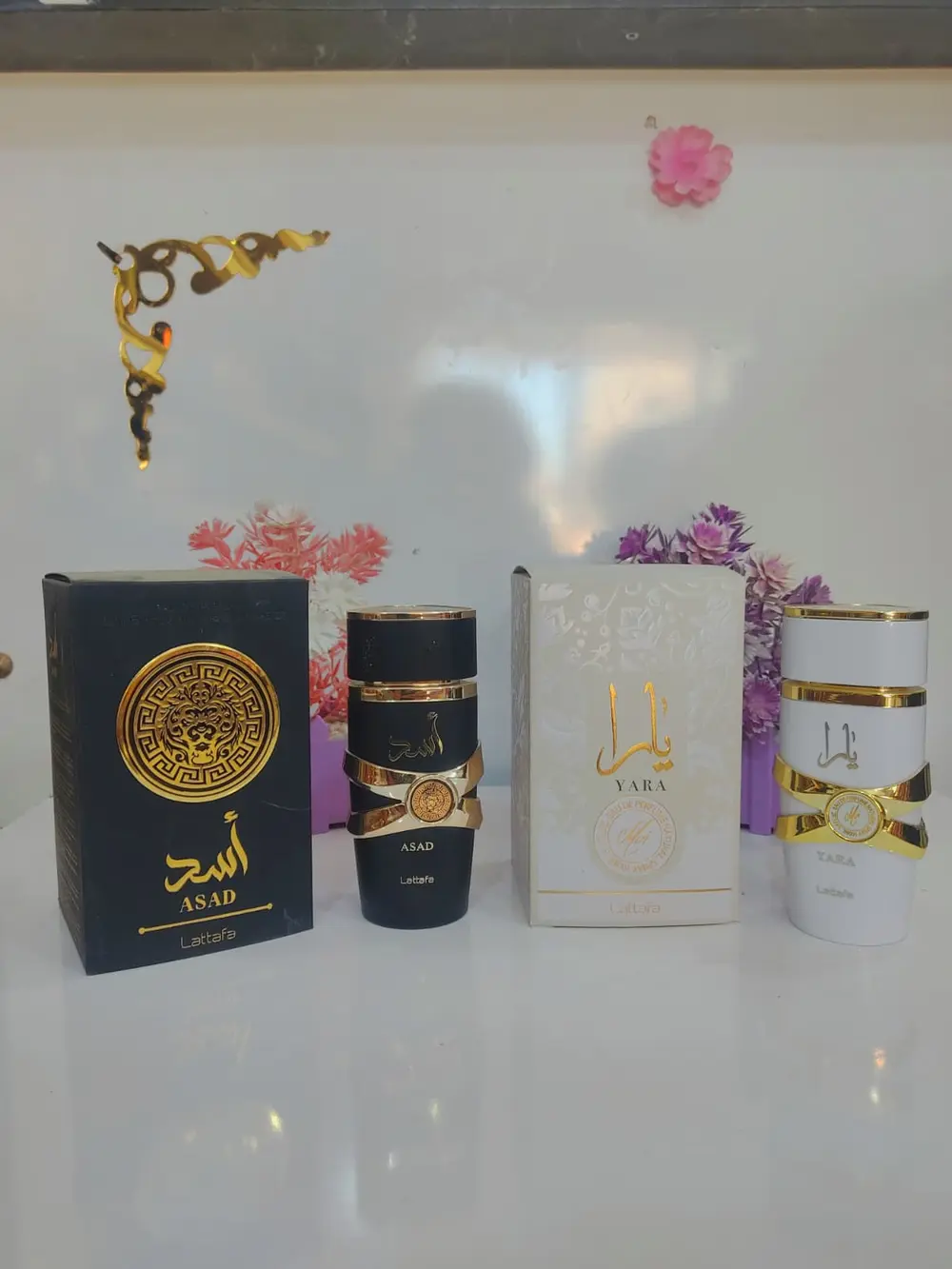 عطر يارا , أسد